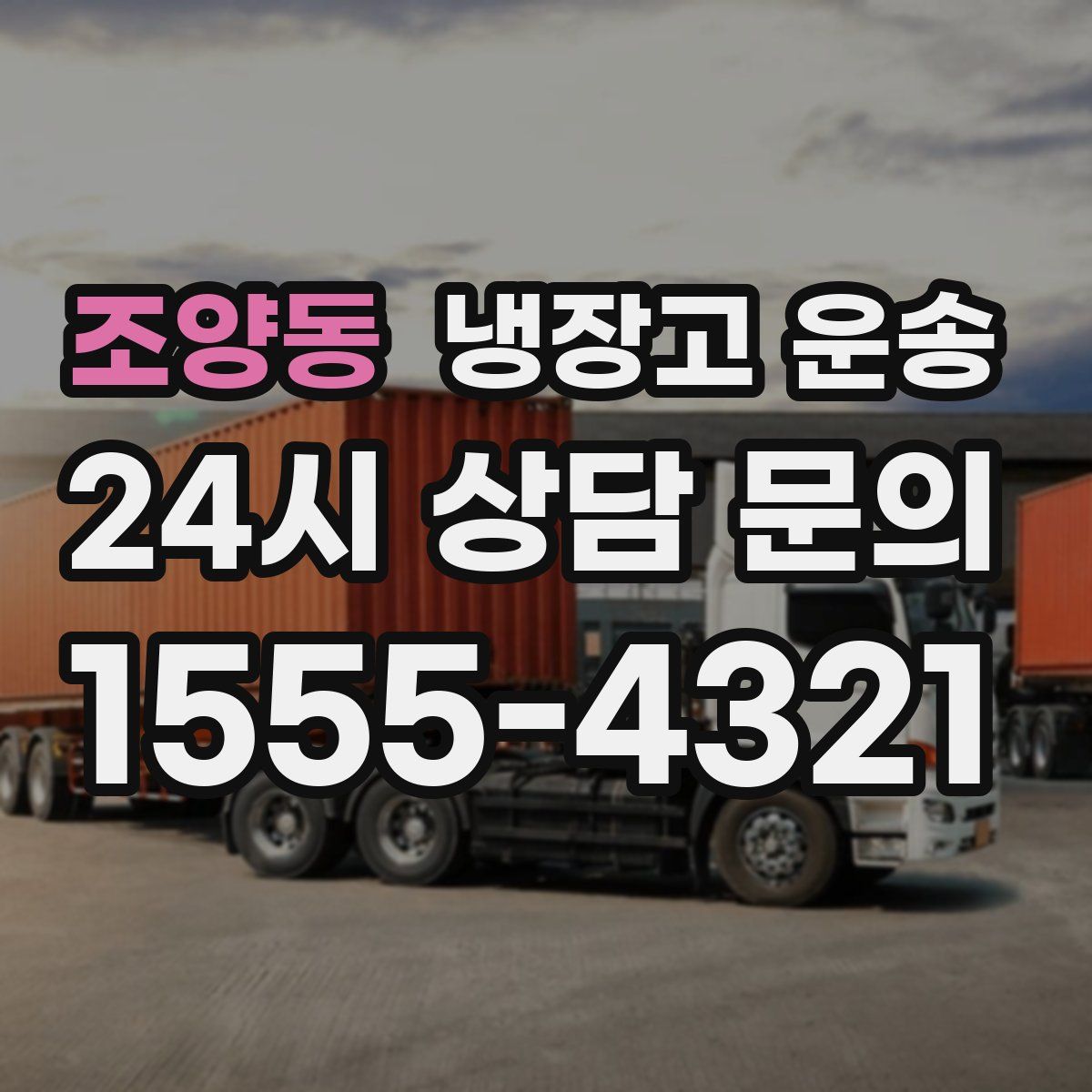조양동 냉장고 운송