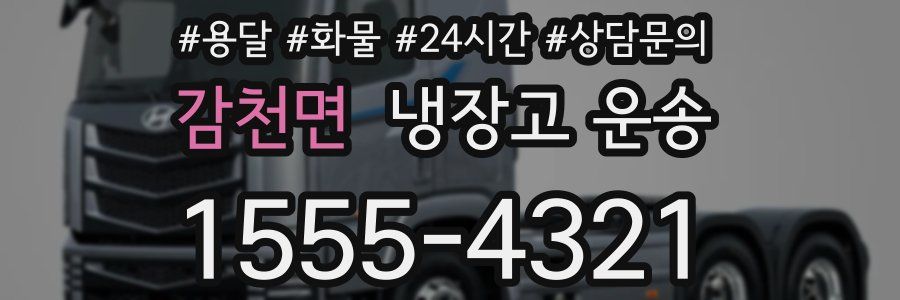 감천면 냉장고 운송