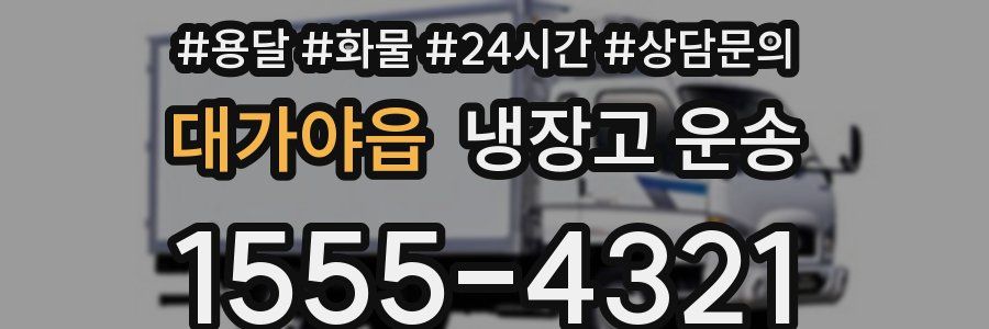 대가야읍 냉장고 운송