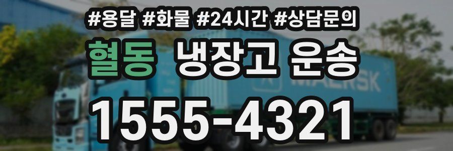 혈동 냉장고 운송