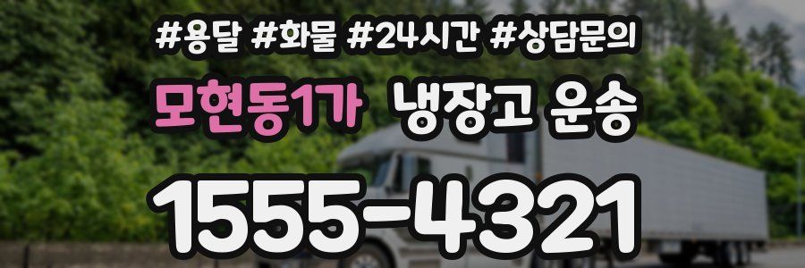 모현동1가 냉장고 운송