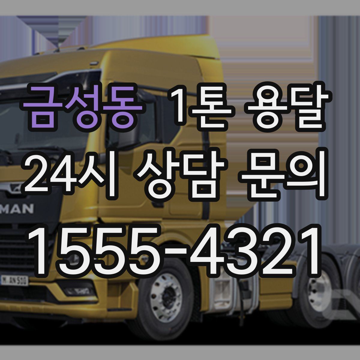 금성동 1톤 용달