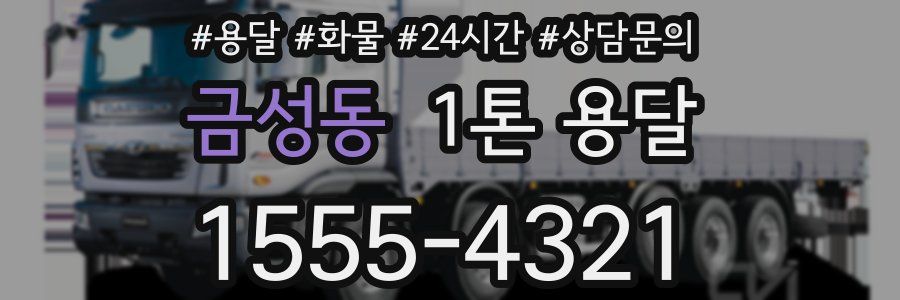 금성동 1톤 용달