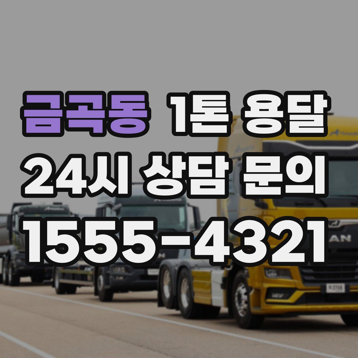 금곡동 1톤 용달