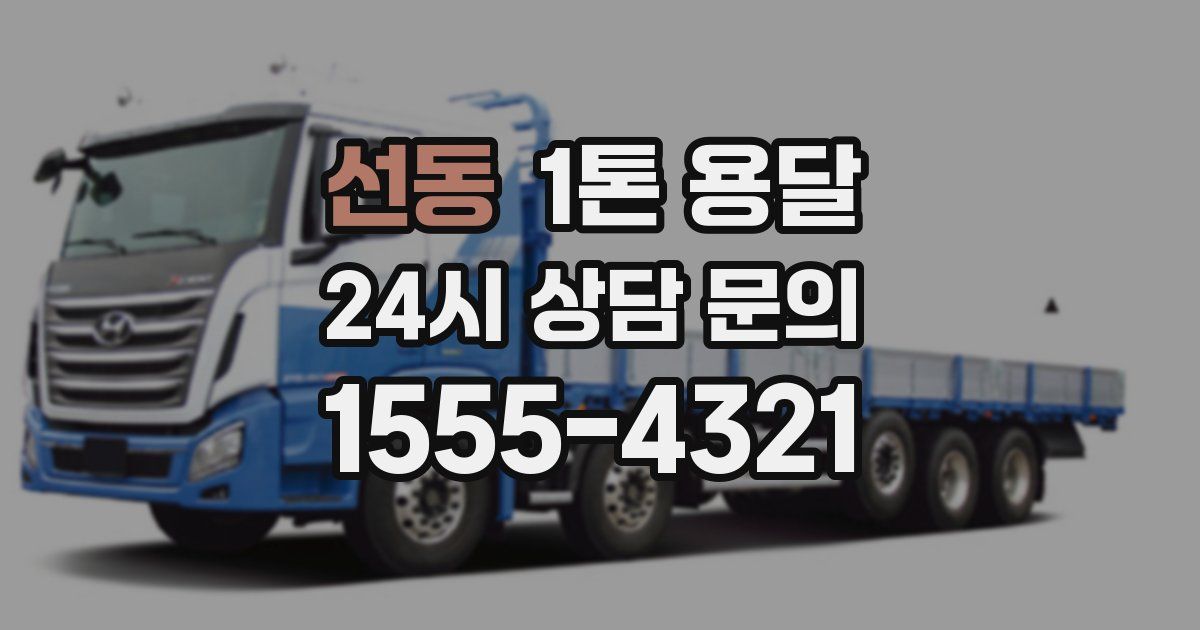 선동 1톤 용달