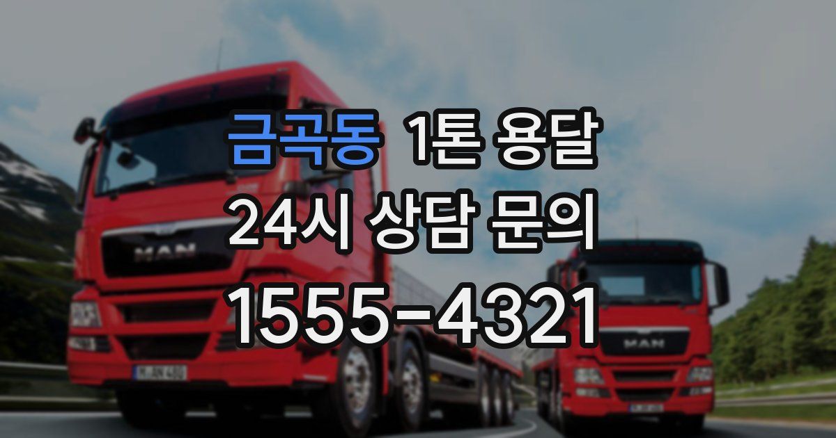 금곡동 1톤 용달