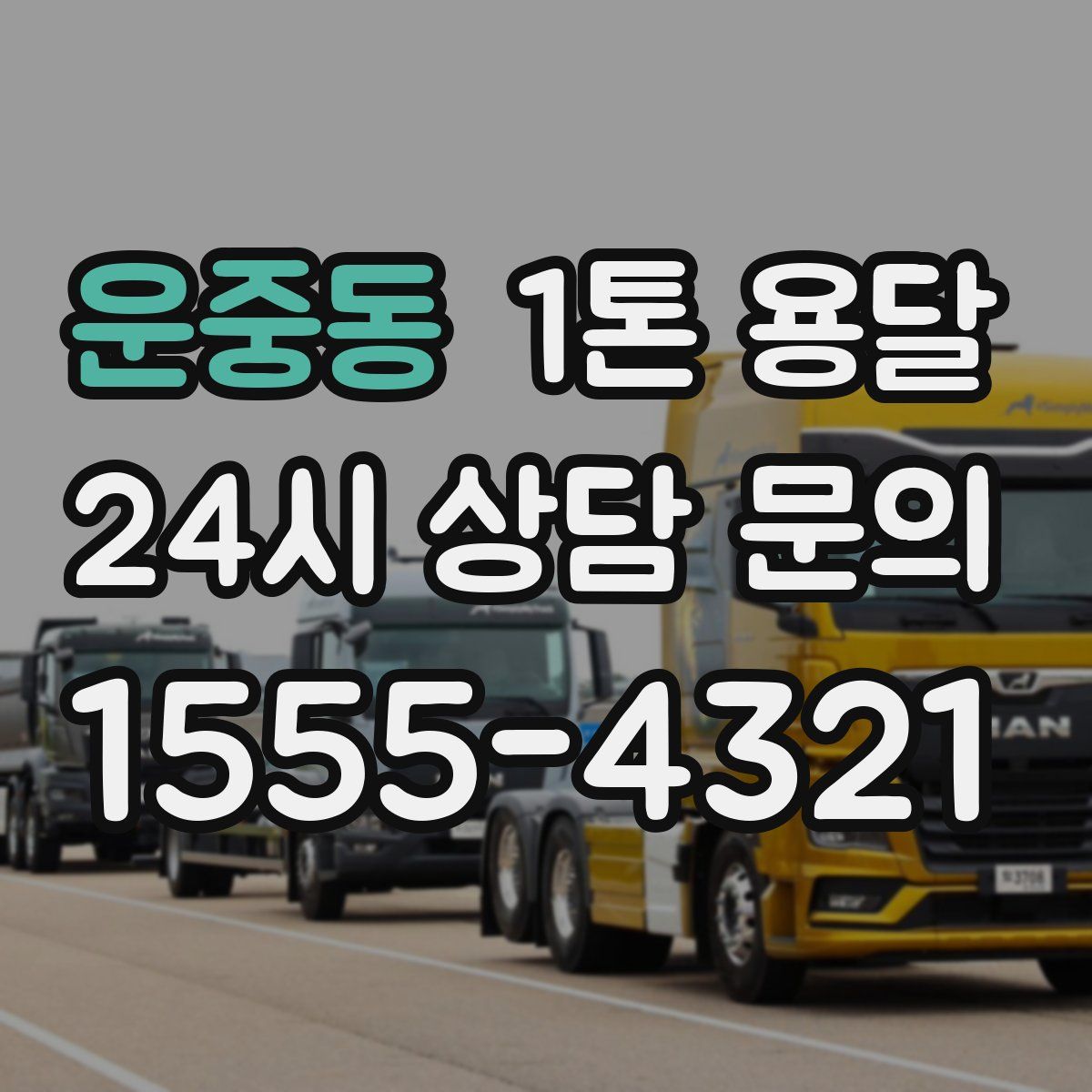 운중동 1톤 용달