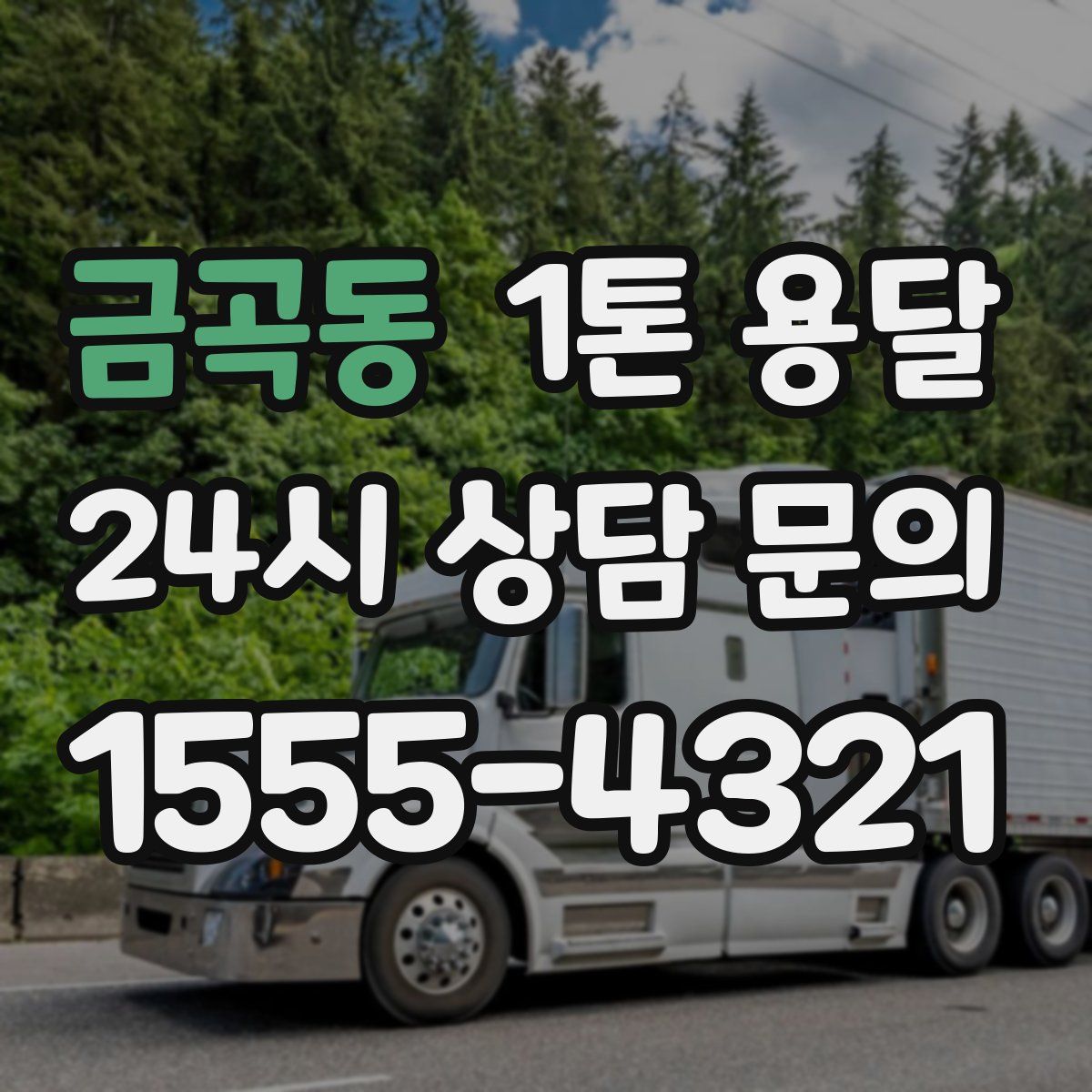 금곡동 1톤 용달