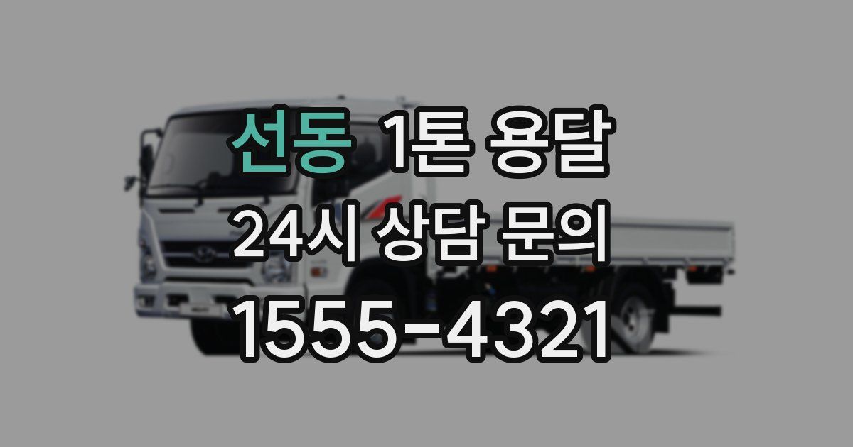 선동 1톤 용달