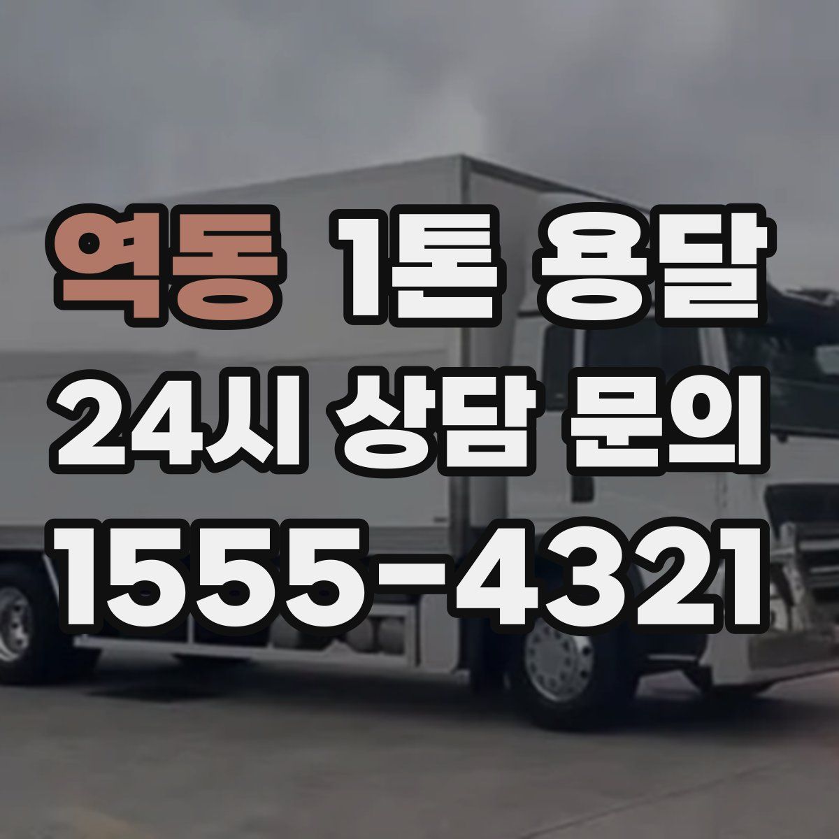 역동 1톤 용달