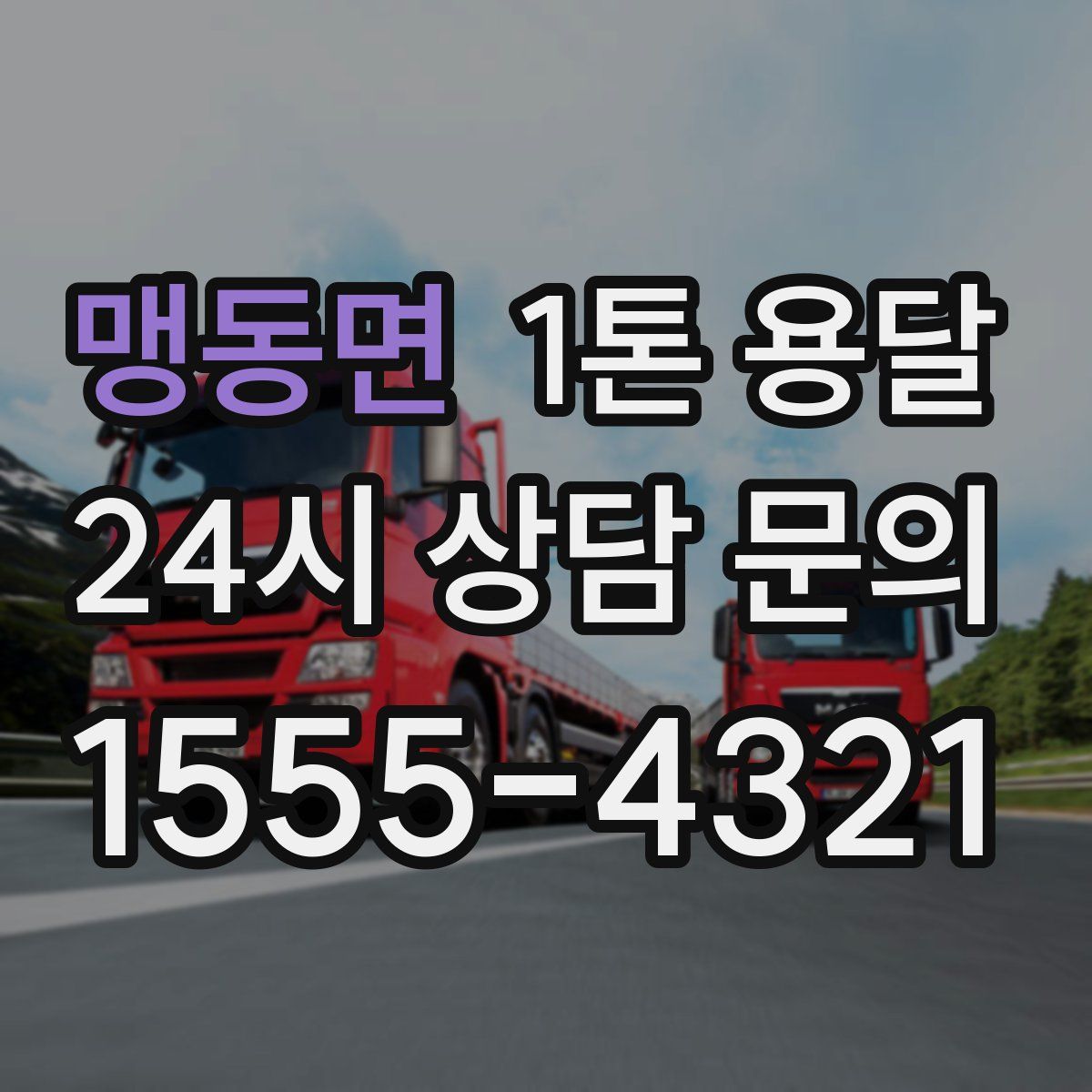 맹동면 1톤 용달