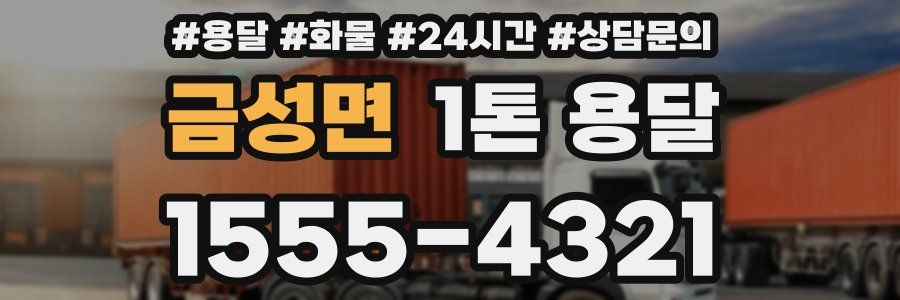 금성면 1톤 용달