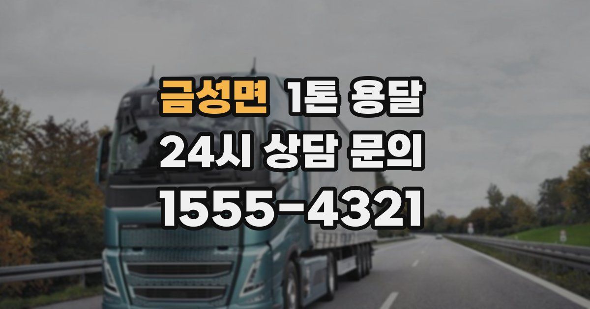 금성면 1톤 용달