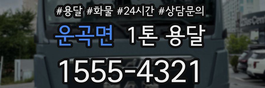 운곡면 1톤 용달