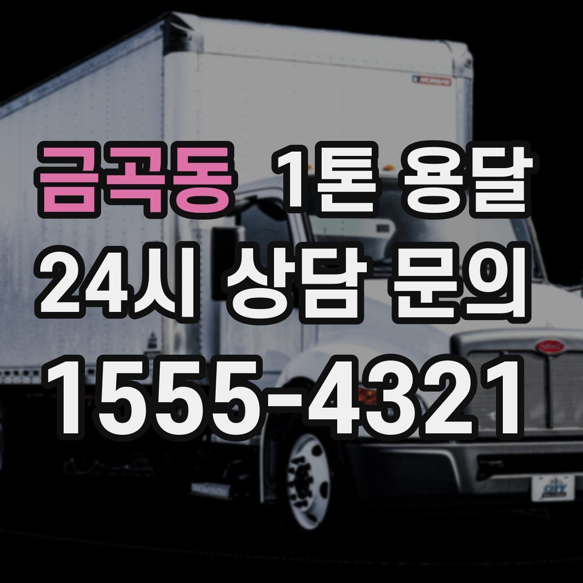 금곡동 1톤 용달
