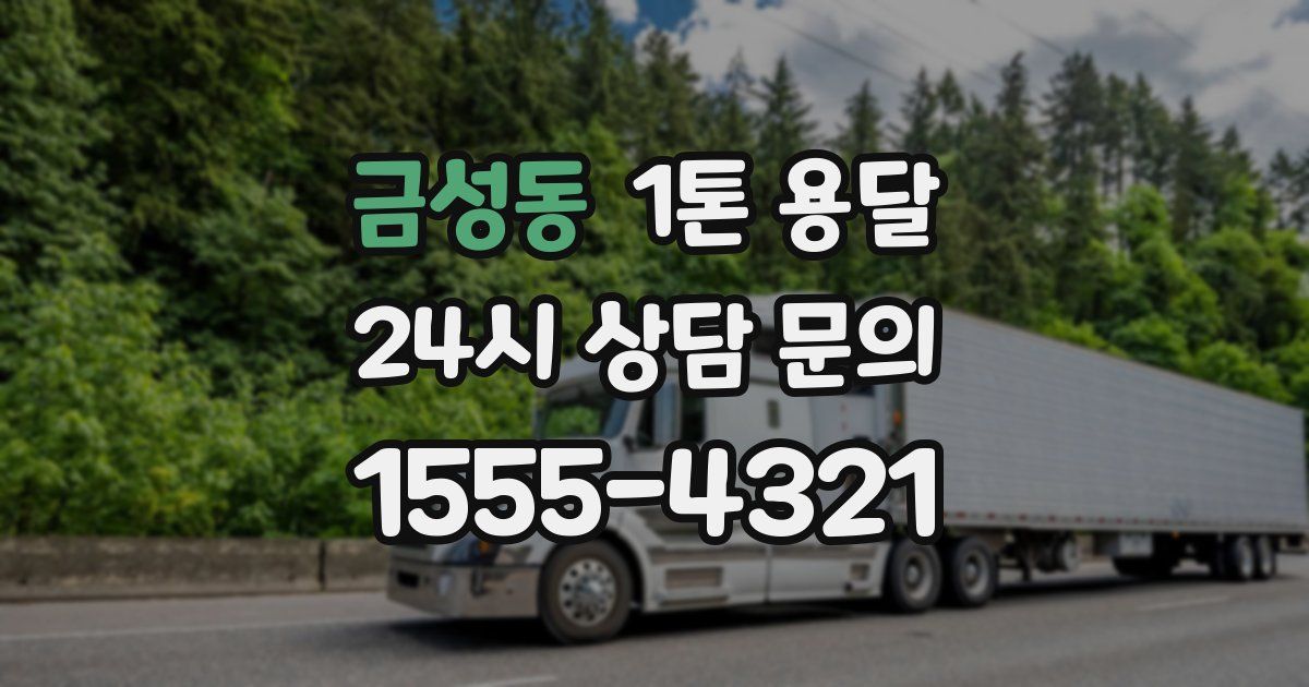 금성동 1톤 용달
