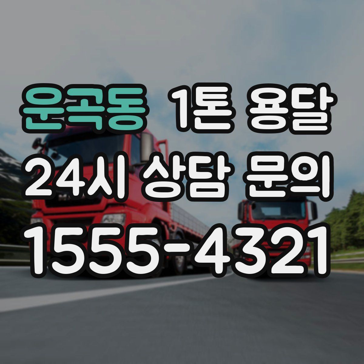 운곡동 1톤 용달