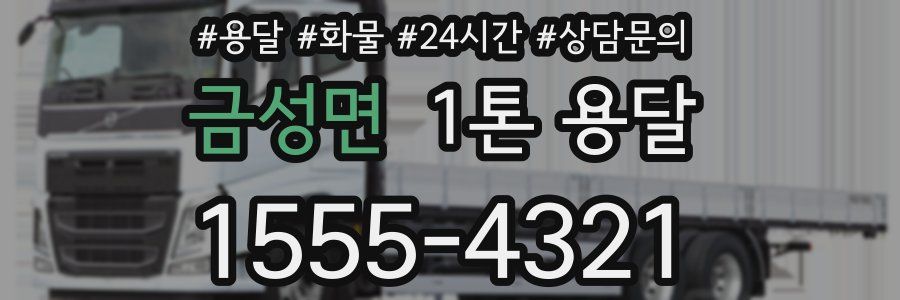 금성면 1톤 용달