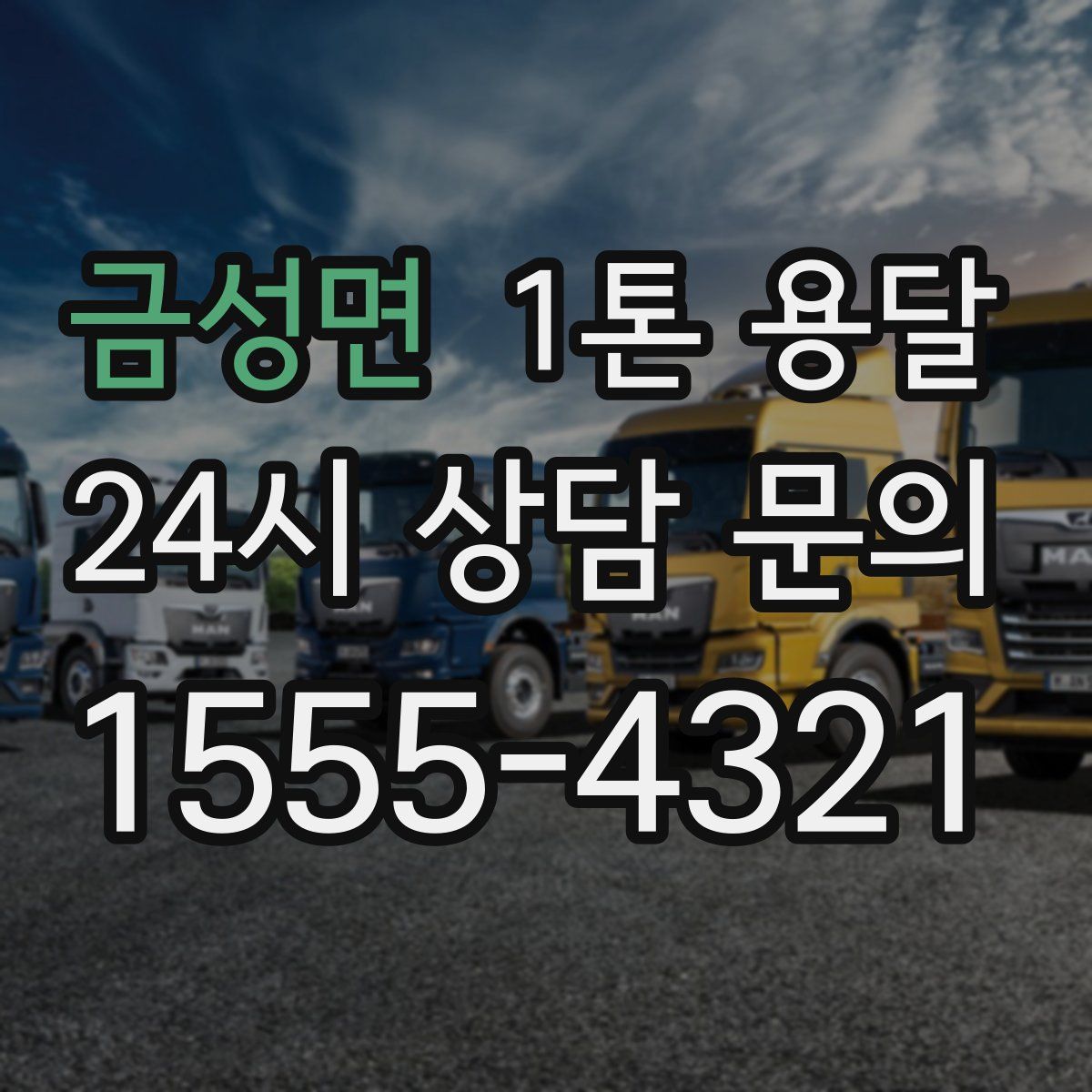 금성면 1톤 용달