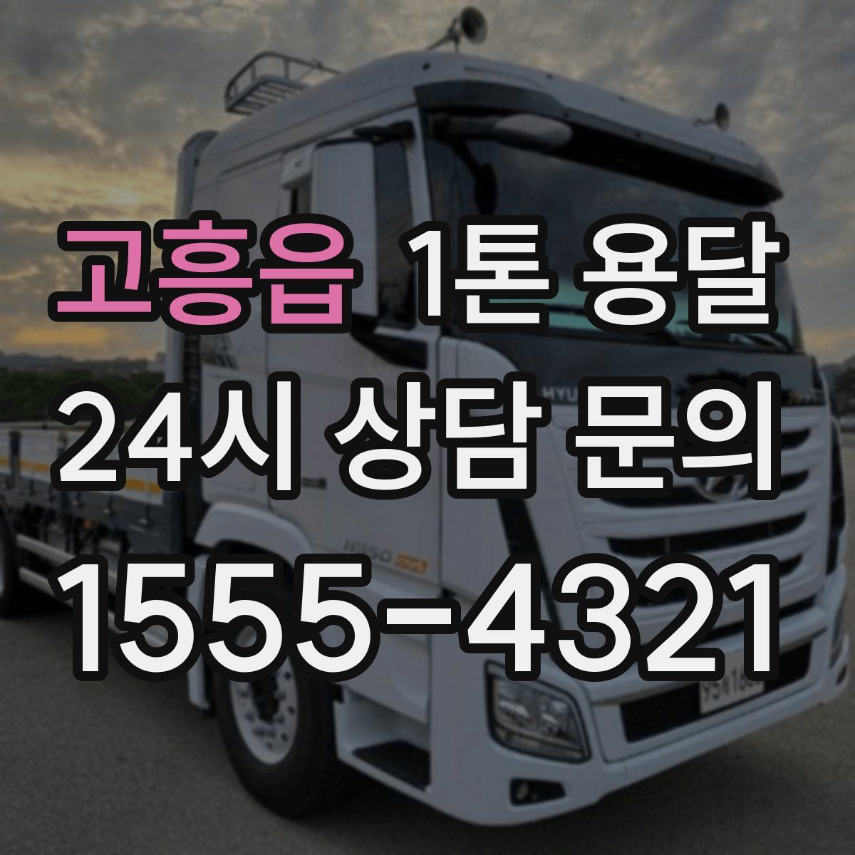 고흥읍 1톤 용달