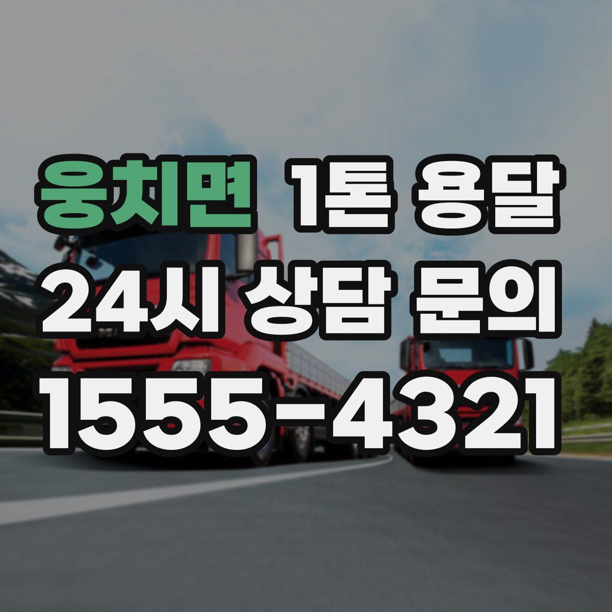 웅치면 1톤 용달