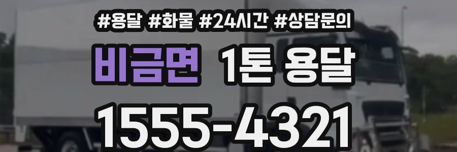 비금면 1톤 용달