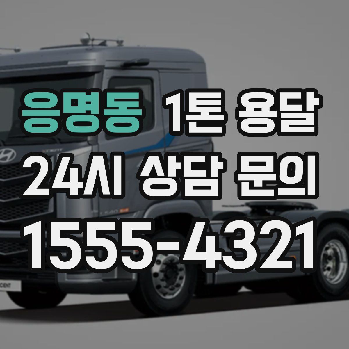 응명동 1톤 용달