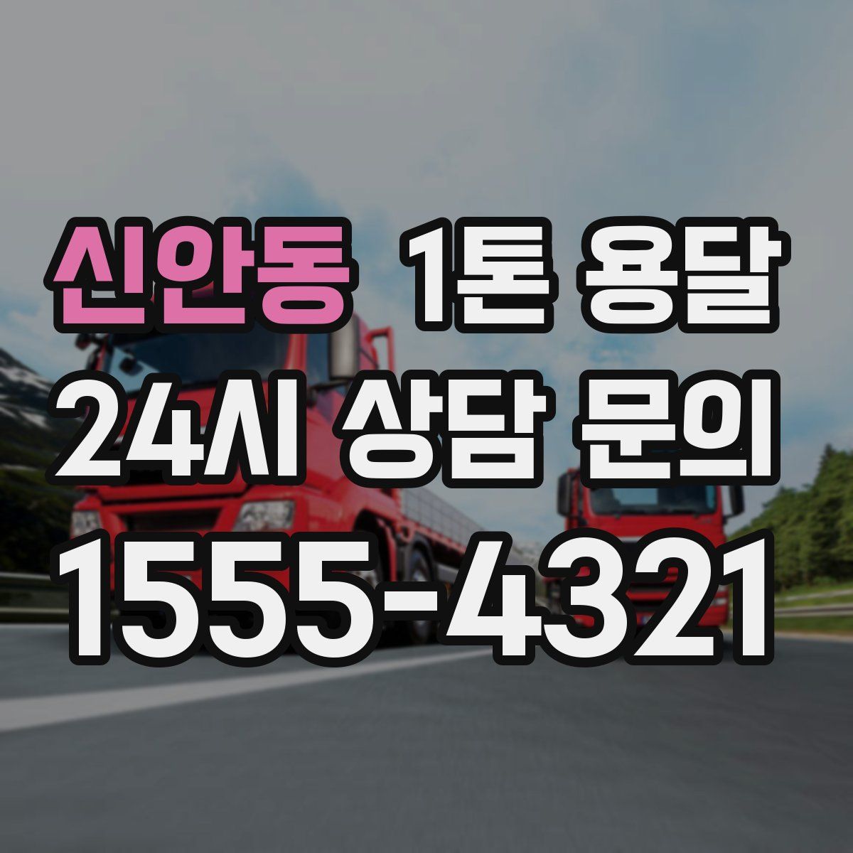 신안동 1톤 용달