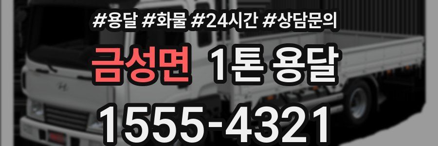 금성면 1톤 용달