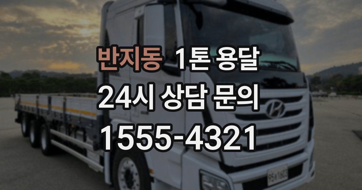 반지동 1톤 용달