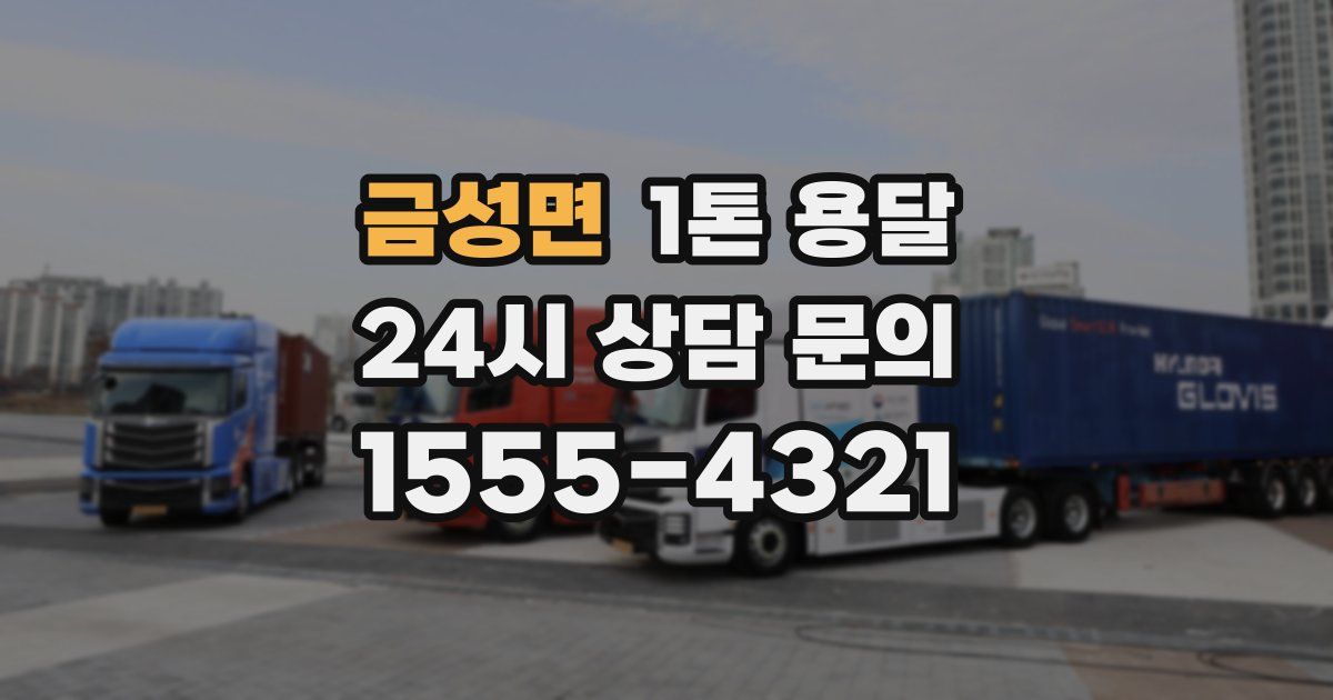 금성면 1톤 용달