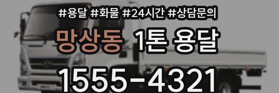 망상동 1톤 용달