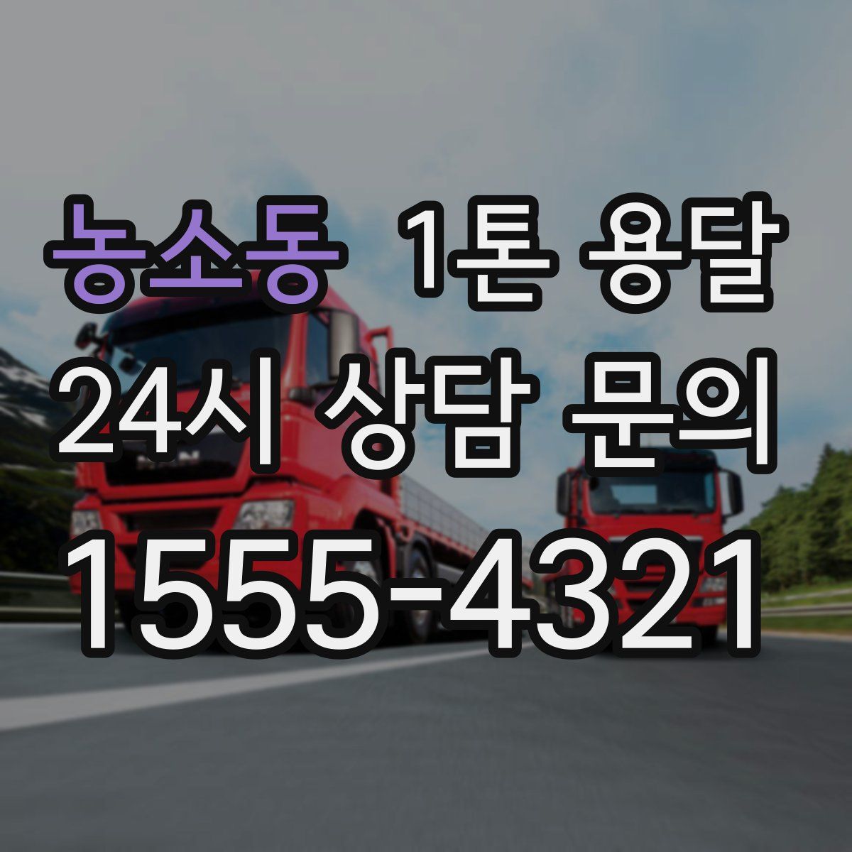 농소동 1톤 용달