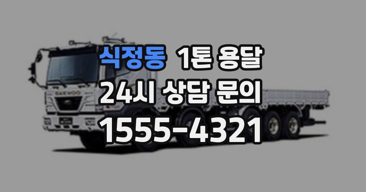 식정동 1톤 용달