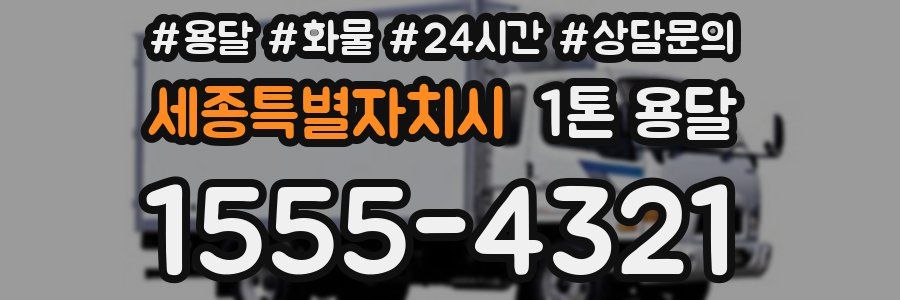 세종특별자치시 1톤 용달