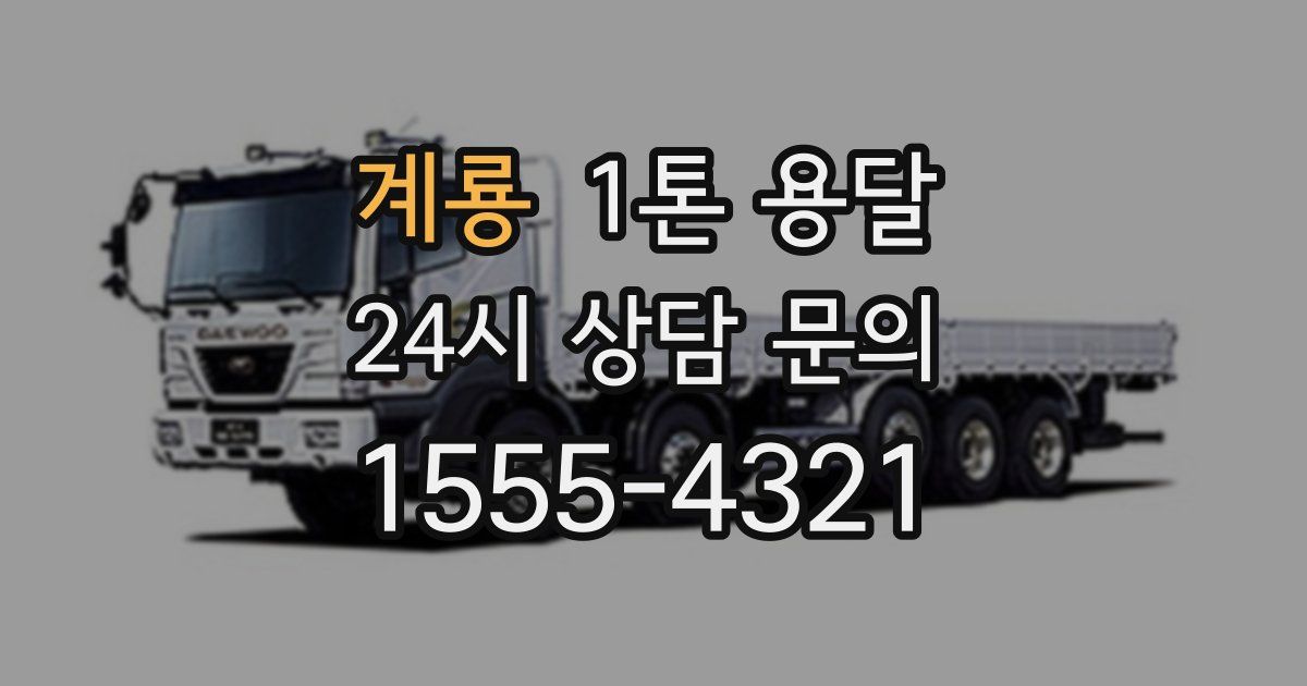 계룡 1톤 용달