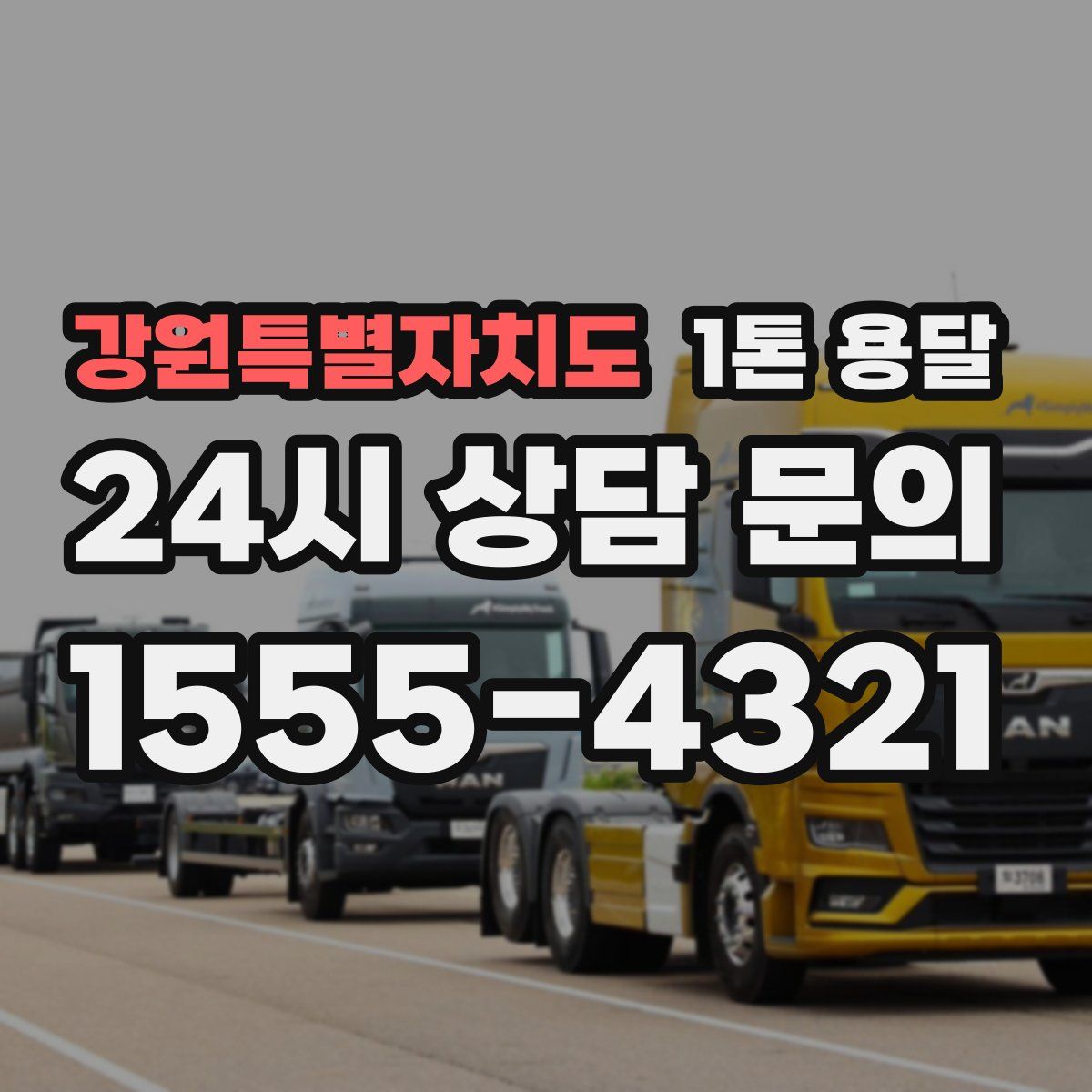강원특별자치도 1톤 용달