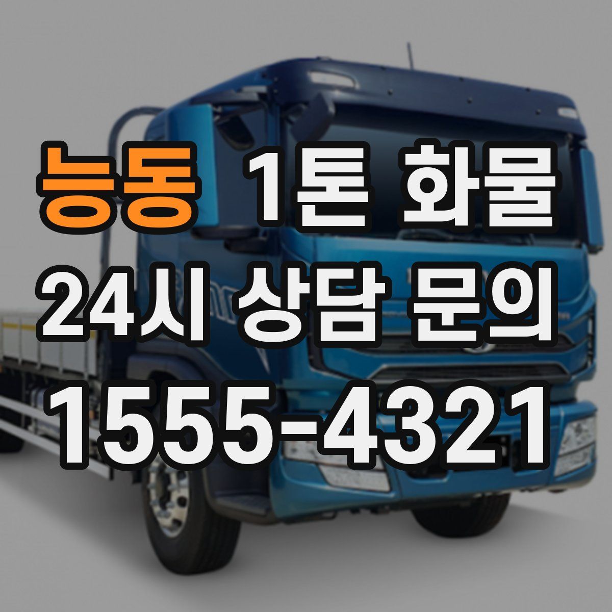 능동 1톤 화물