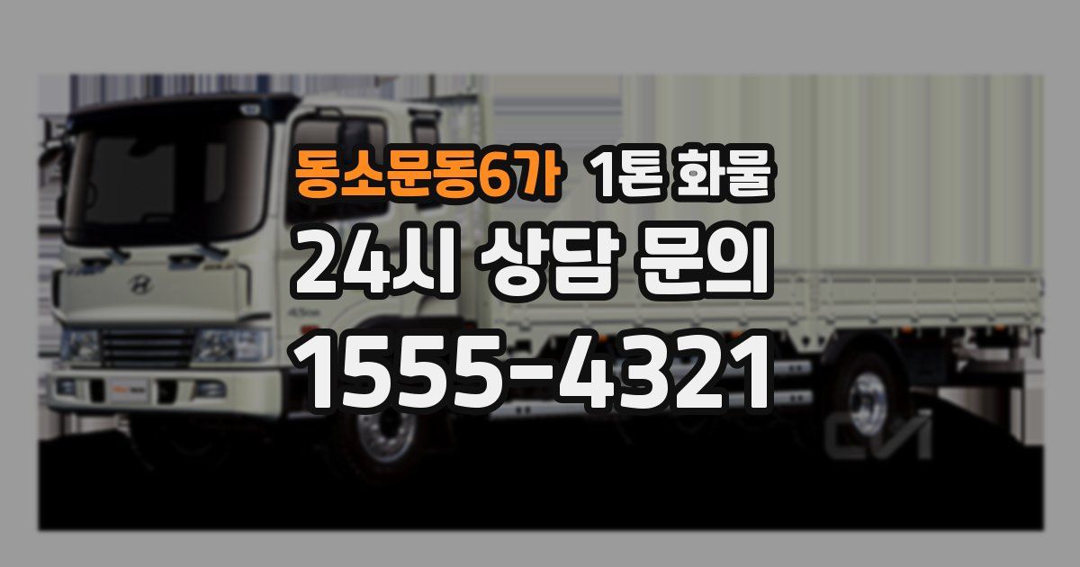 동소문동6가 1톤 화물