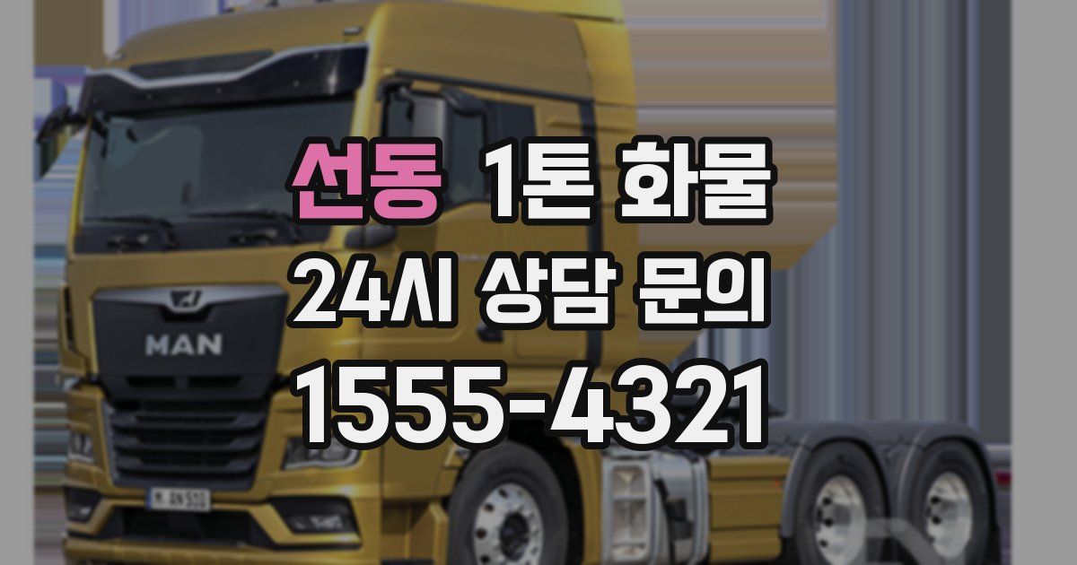 선동 1톤 화물