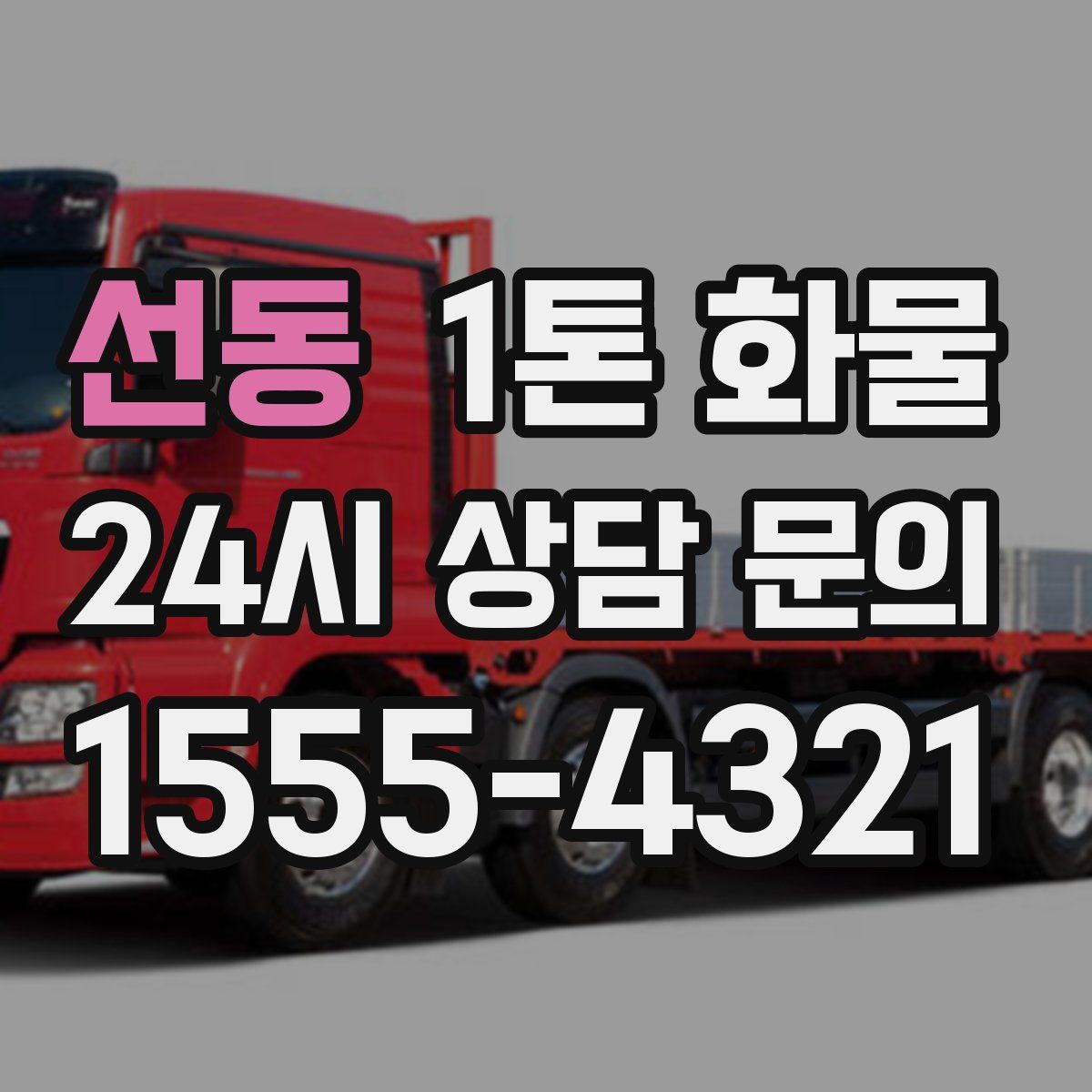 선동 1톤 화물