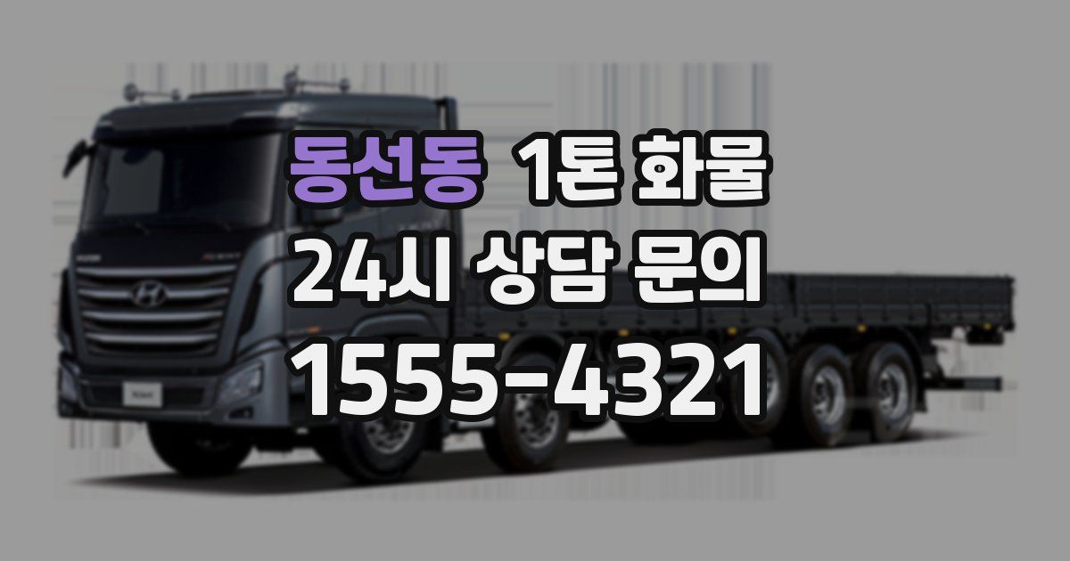 동선동 1톤 화물