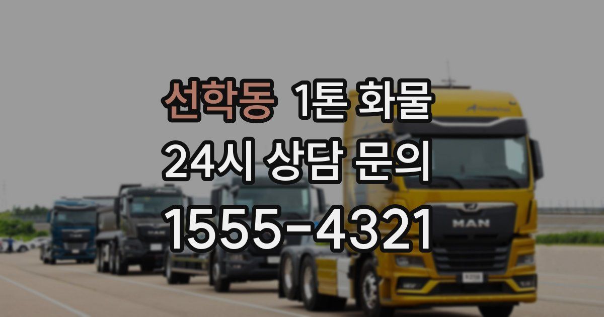 선학동 1톤 화물