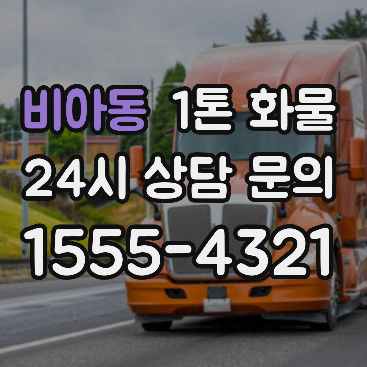 비아동 1톤 화물