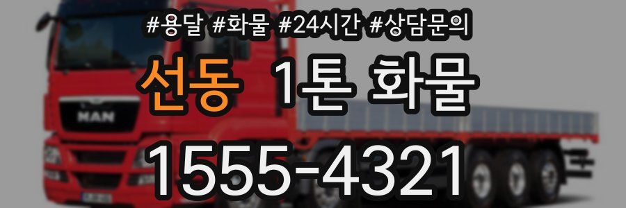 선동 1톤 화물