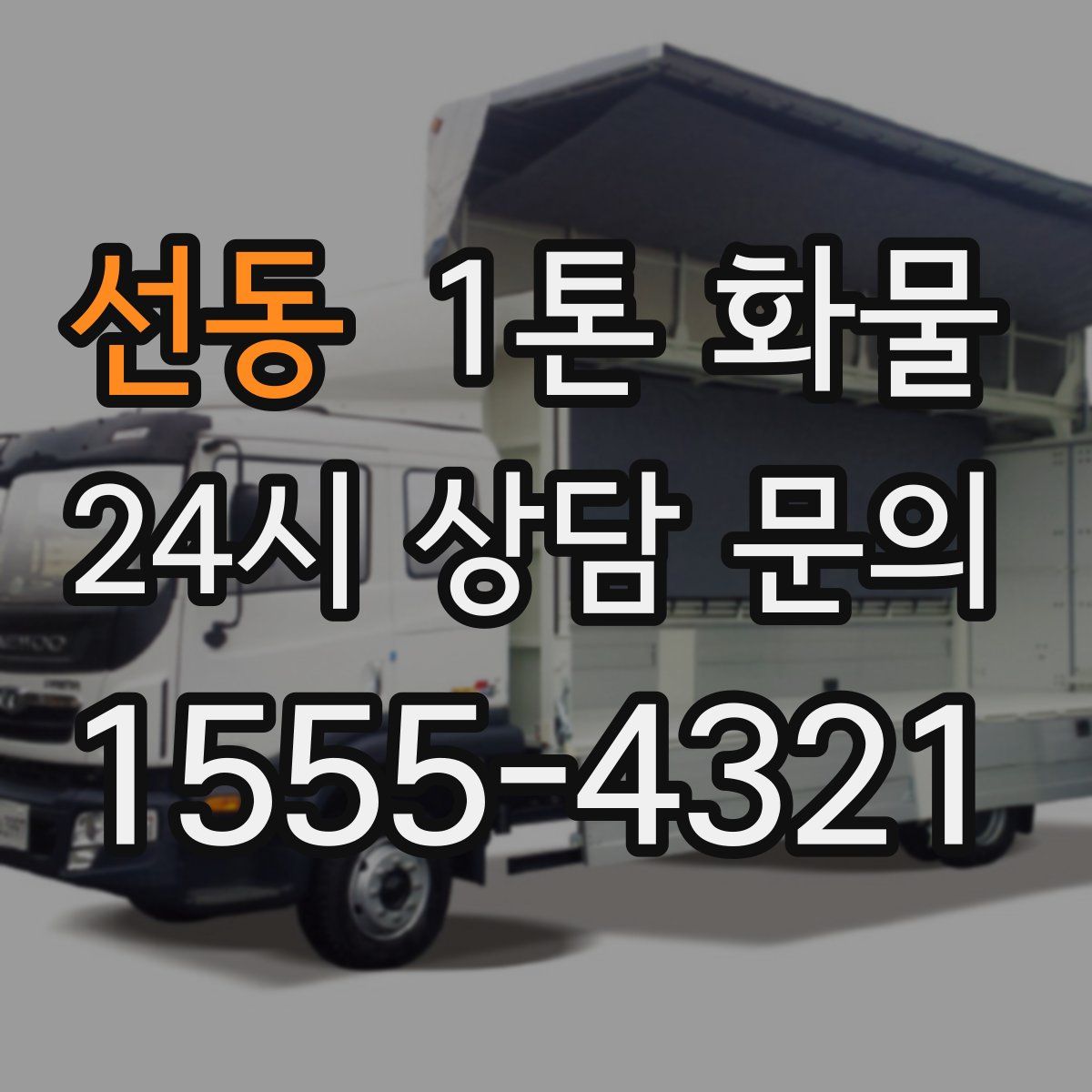 선동 1톤 화물
