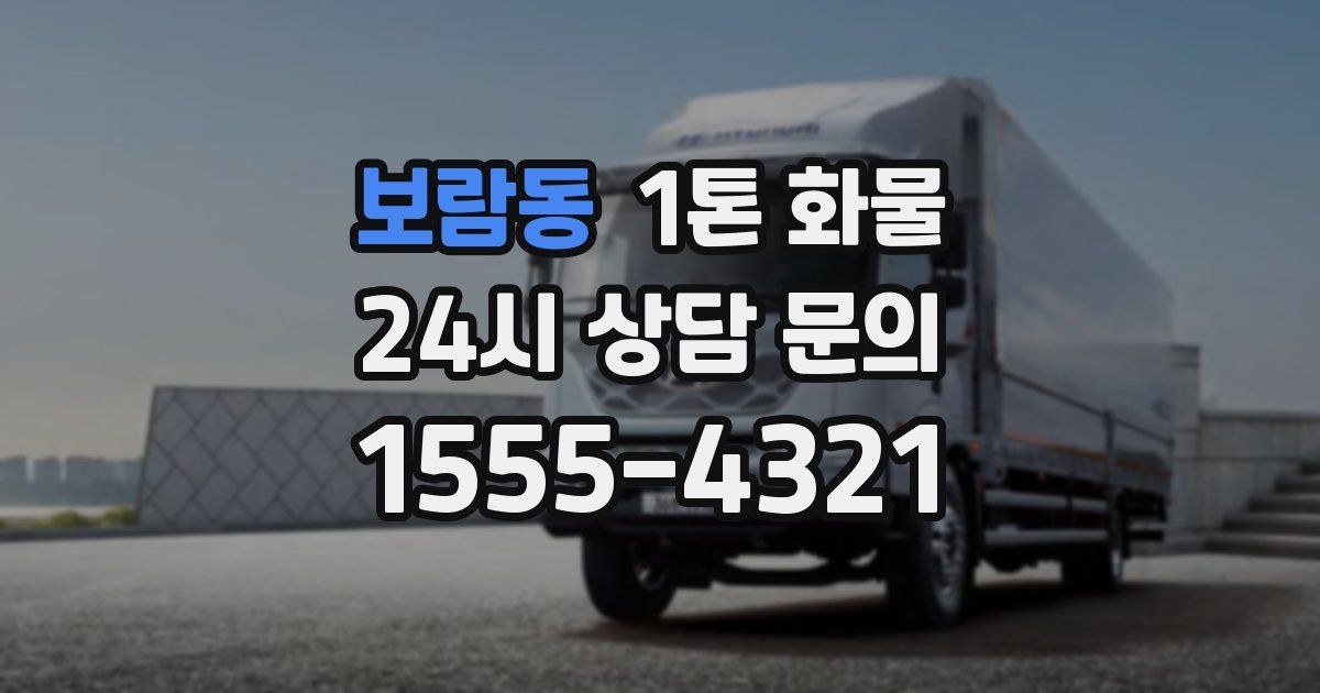 보람동 1톤 화물