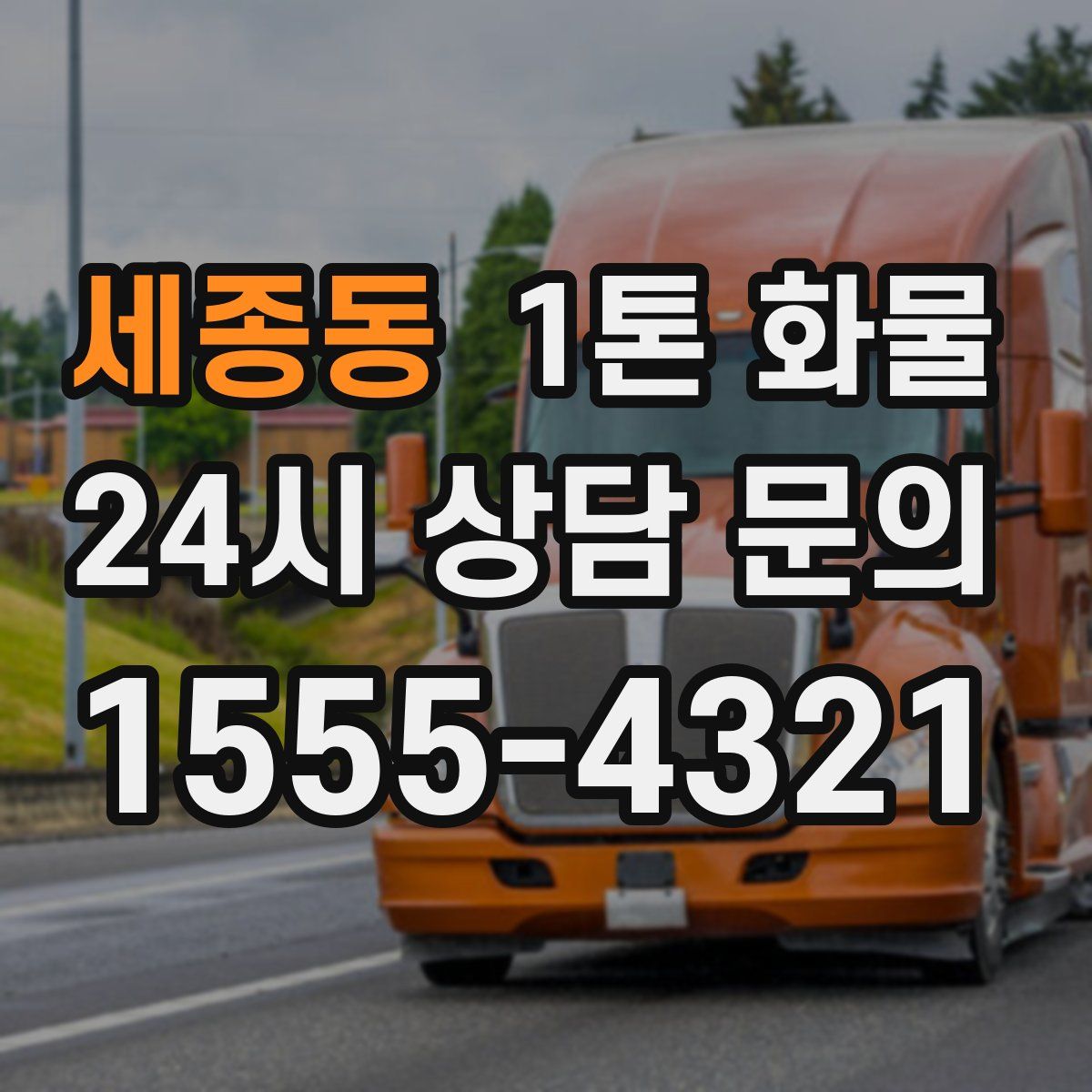 세종동 1톤 화물