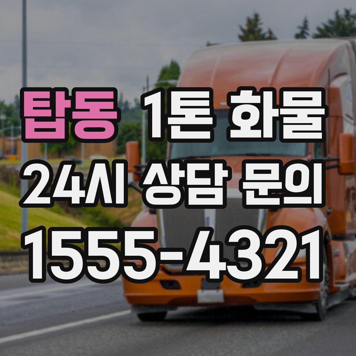 탑동 1톤 화물
