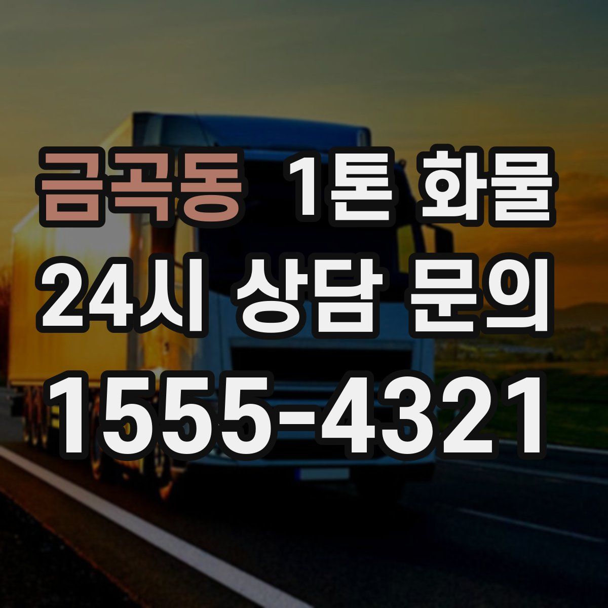 금곡동 1톤 화물